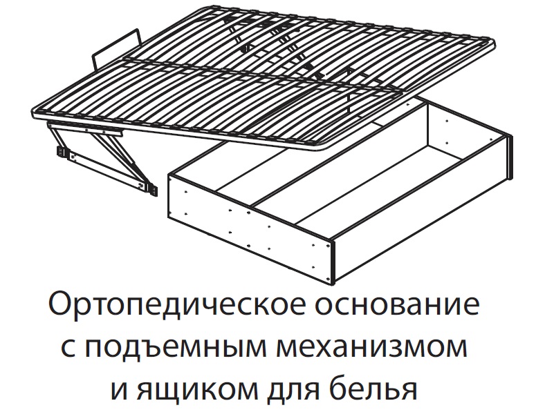 Кровать Ливорно ЛКР 1 (1600) / Дуб Сонома